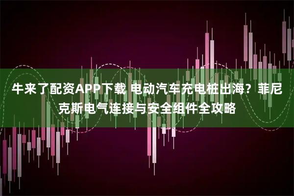 牛来了配资APP下载 电动汽车充电桩出海？菲尼克斯电气连接与安全组件全攻略