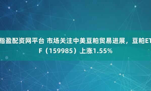 指盈配资网平台 市场关注中美豆粕贸易进展，豆粕ETF（159985）上涨1.55%