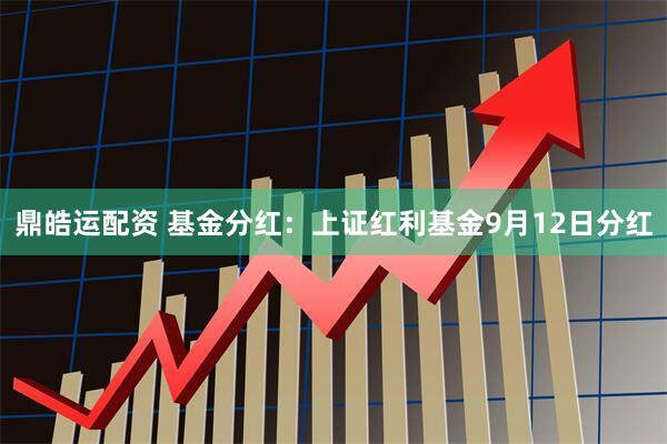 鼎皓运配资 基金分红：上证红利基金9月12日分红